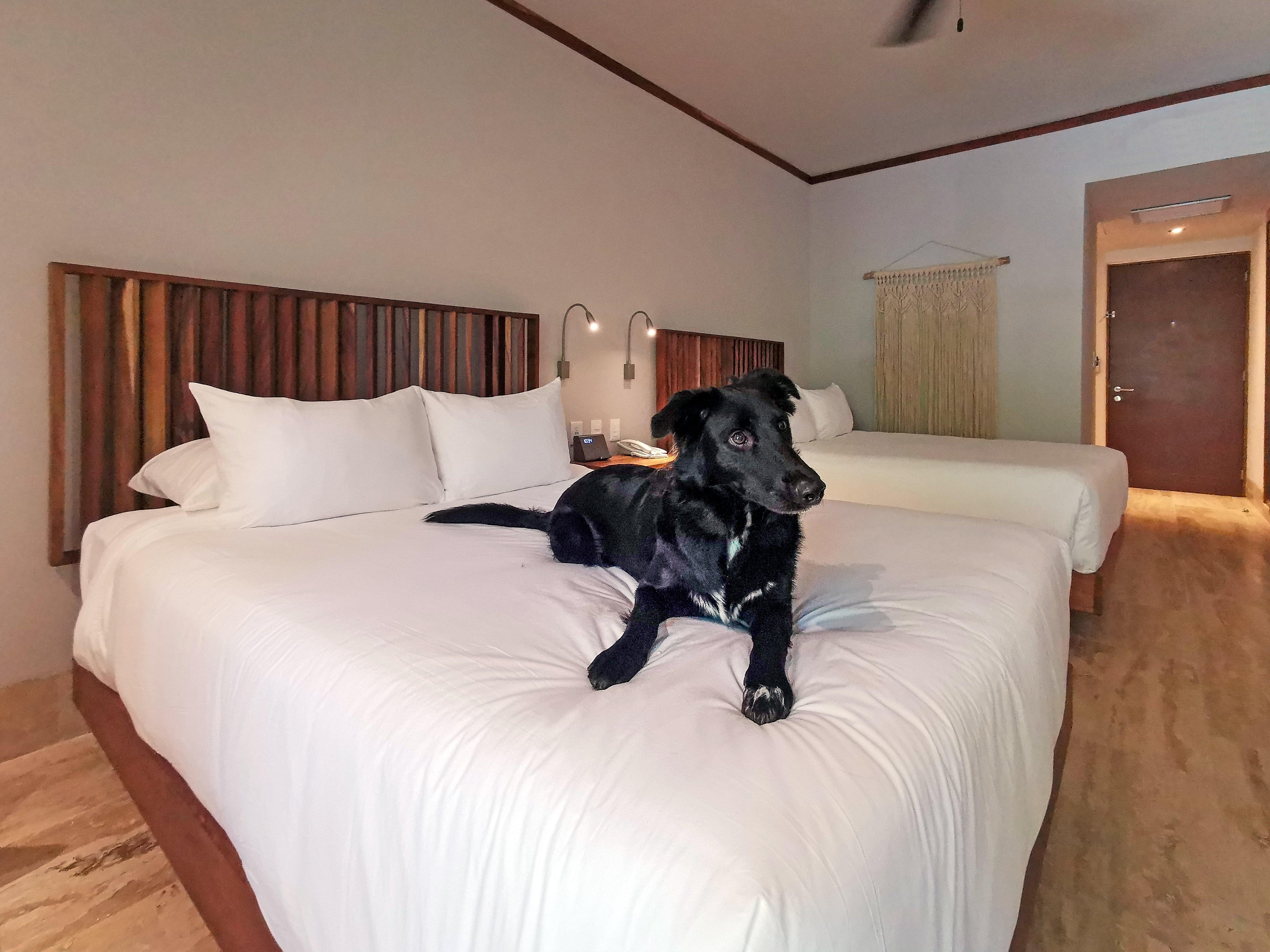 Kimpton Aluna Resort Tulum By Ihg Exterior photo